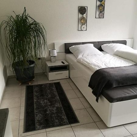 Ferienapartment "Vier Pfoten" In コルバッハ エクステリア 写真