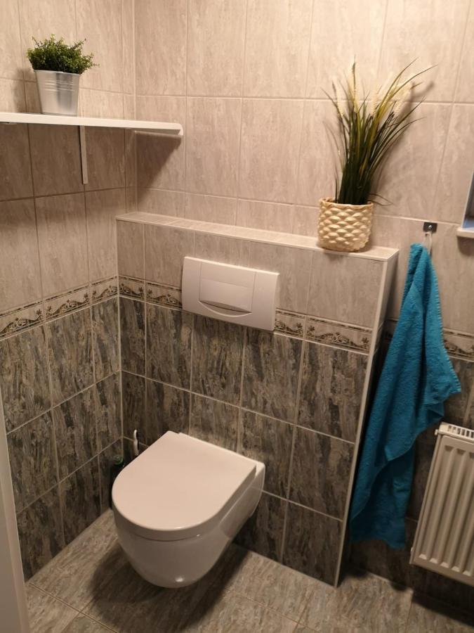 Ferienapartment "Vier Pfoten" In コルバッハ エクステリア 写真