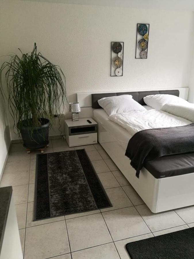 Ferienapartment "Vier Pfoten" In コルバッハ エクステリア 写真